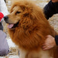 Crinière de Lion Réaliste pour Chiens Moyens et Grands