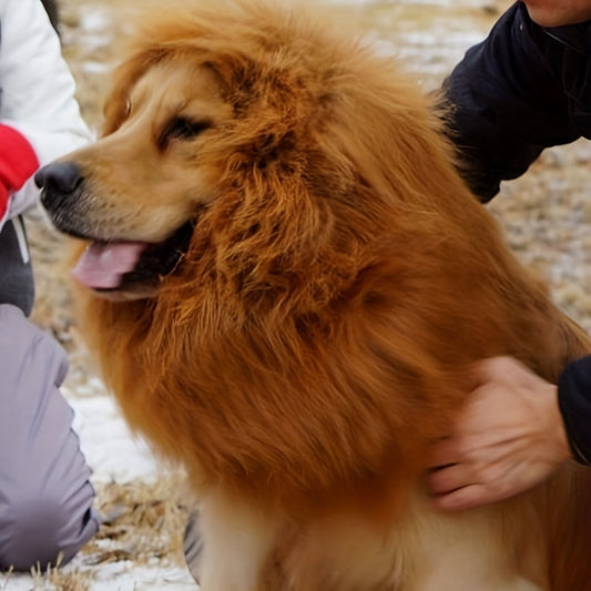 Crinière de Lion Réaliste pour Chiens Moyens et Grands