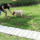 Longe d'Entraînement Imperméable pour Chien - 3M à 15M
