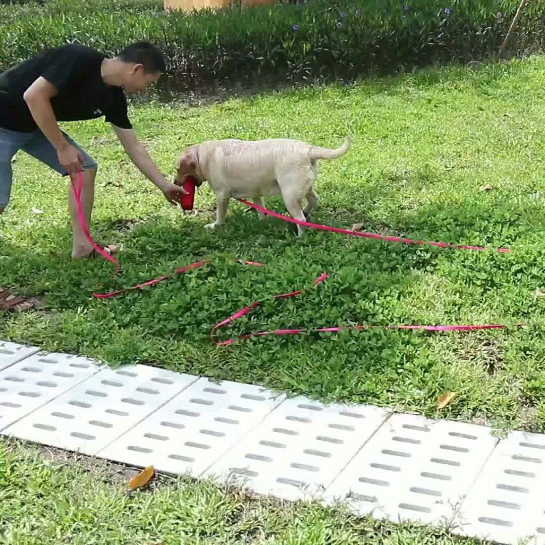Longe d'Entraînement Imperméable pour Chien - 3M à 15M
