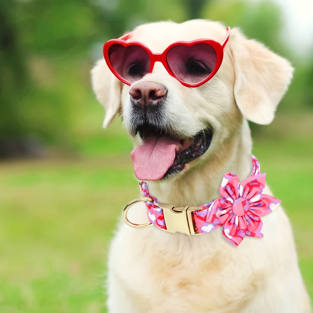 Collier Fleuri (fleur amovible) pour Chien