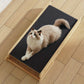 Escalier Pliable pour Animaux - 2 Niveaux Ajustables