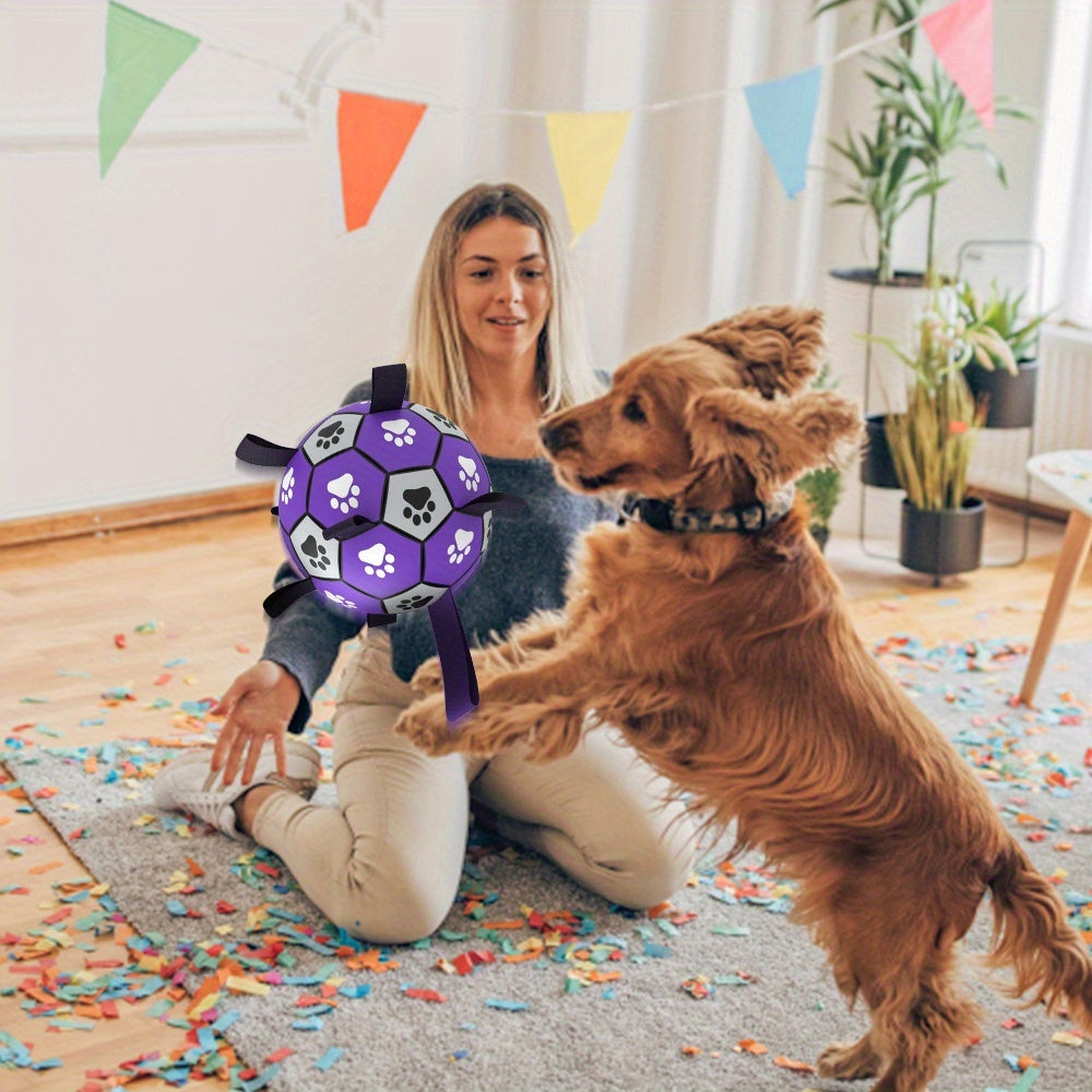 Ballon de Football pour Chien avec Poignées - Violet & Noir