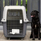 Caisse de Transport à Roulettes pour Chien
