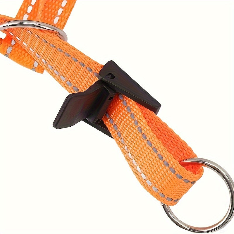 Muselière & Collier Réglable Confort pour Chien