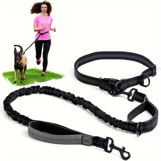 Laisse Elastique Mains Libres pour Chien