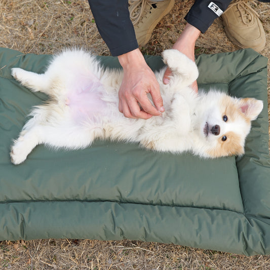 Coussin Extérieur Pliable pour Chien – Antidérapant et Lavable