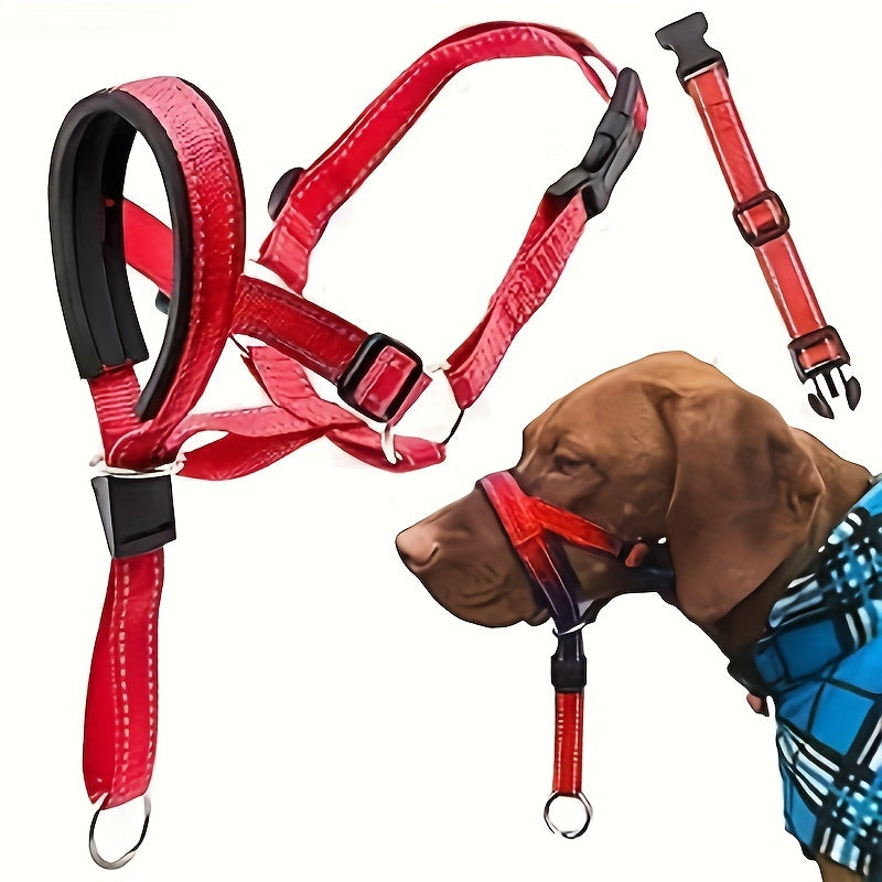 Muselière & Collier Réglable Confort pour Chien