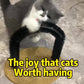 Arche de Toilettage et de Jeu pour Chat avec Souris Suspendue