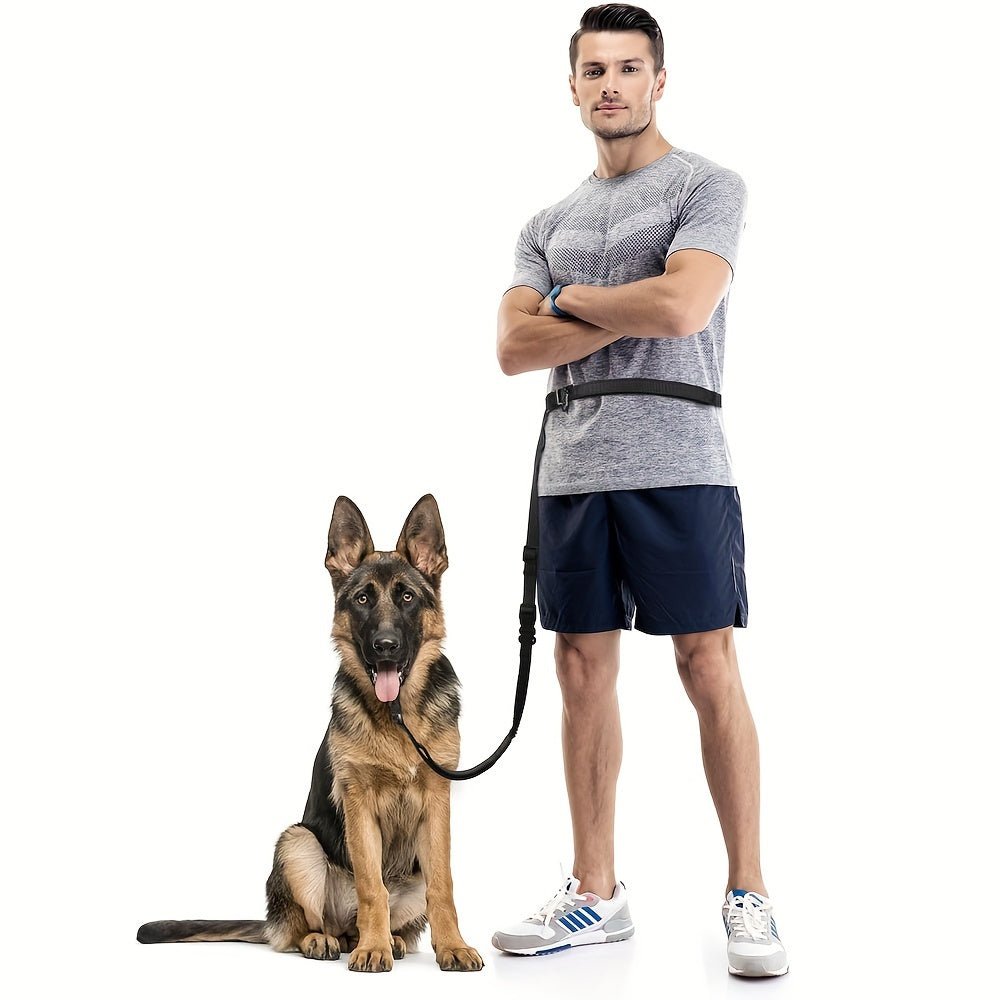 Laisse Mains Libres avec Boucle pour Voiture pour Chien
