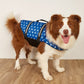 Gilet de Sauvetage Réfléchissant pour Chiens de Toutes Tailles