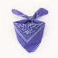 Bandana Classique Carré pour Chien – Motif Paisley