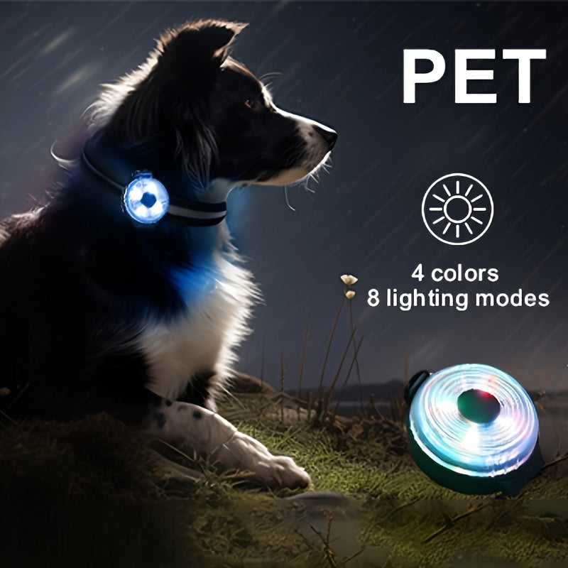 Médaille de Lumière de sécurité LED pour collier de Chien
