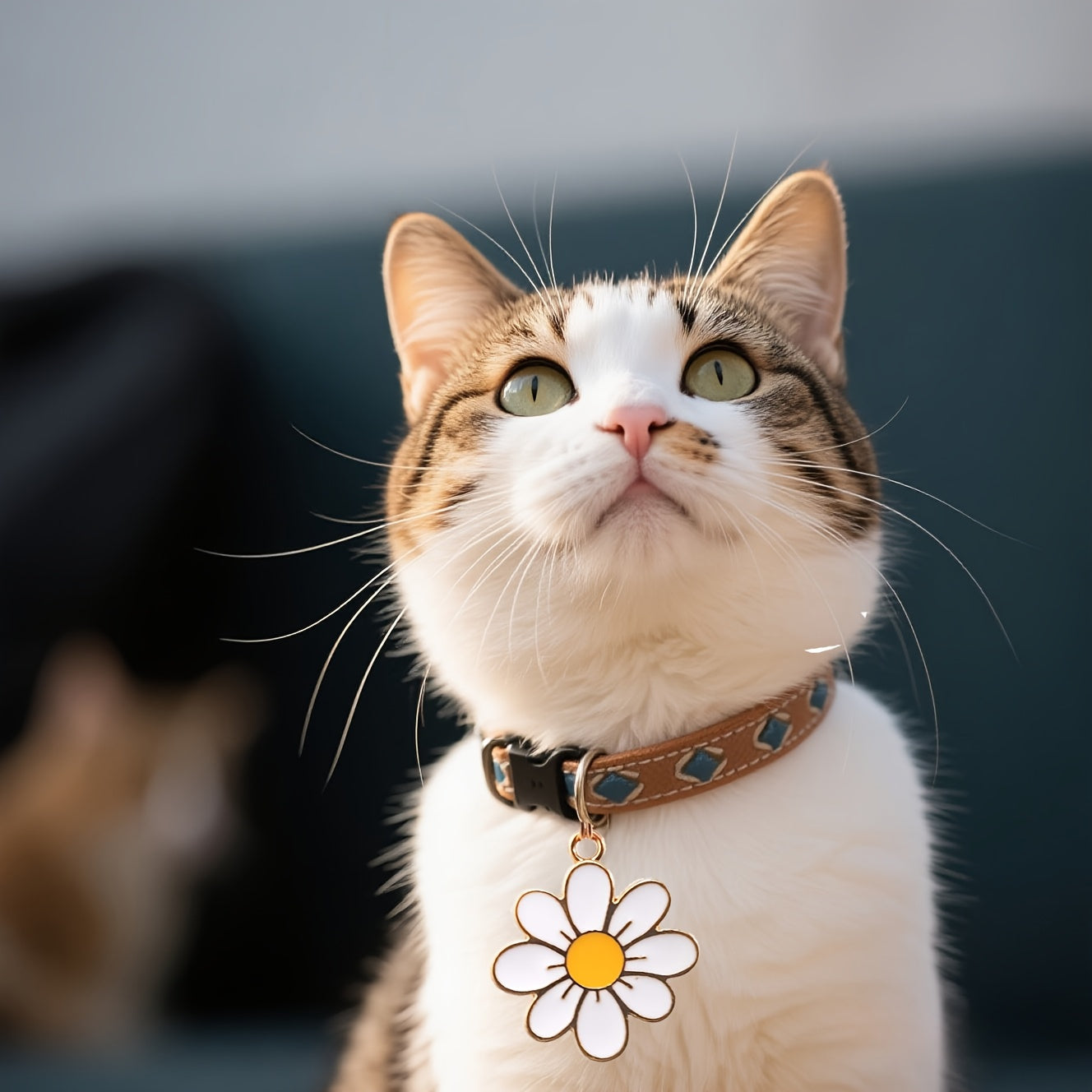 Médaillon Marguerite décoratif pour collier de Chien ou Chat