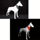 Bandana Réfléchissant Fluorescent à Clip pour Chiens et Chats