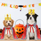 Costume Royal avec Cape et Couronne pour Chiens Moyens