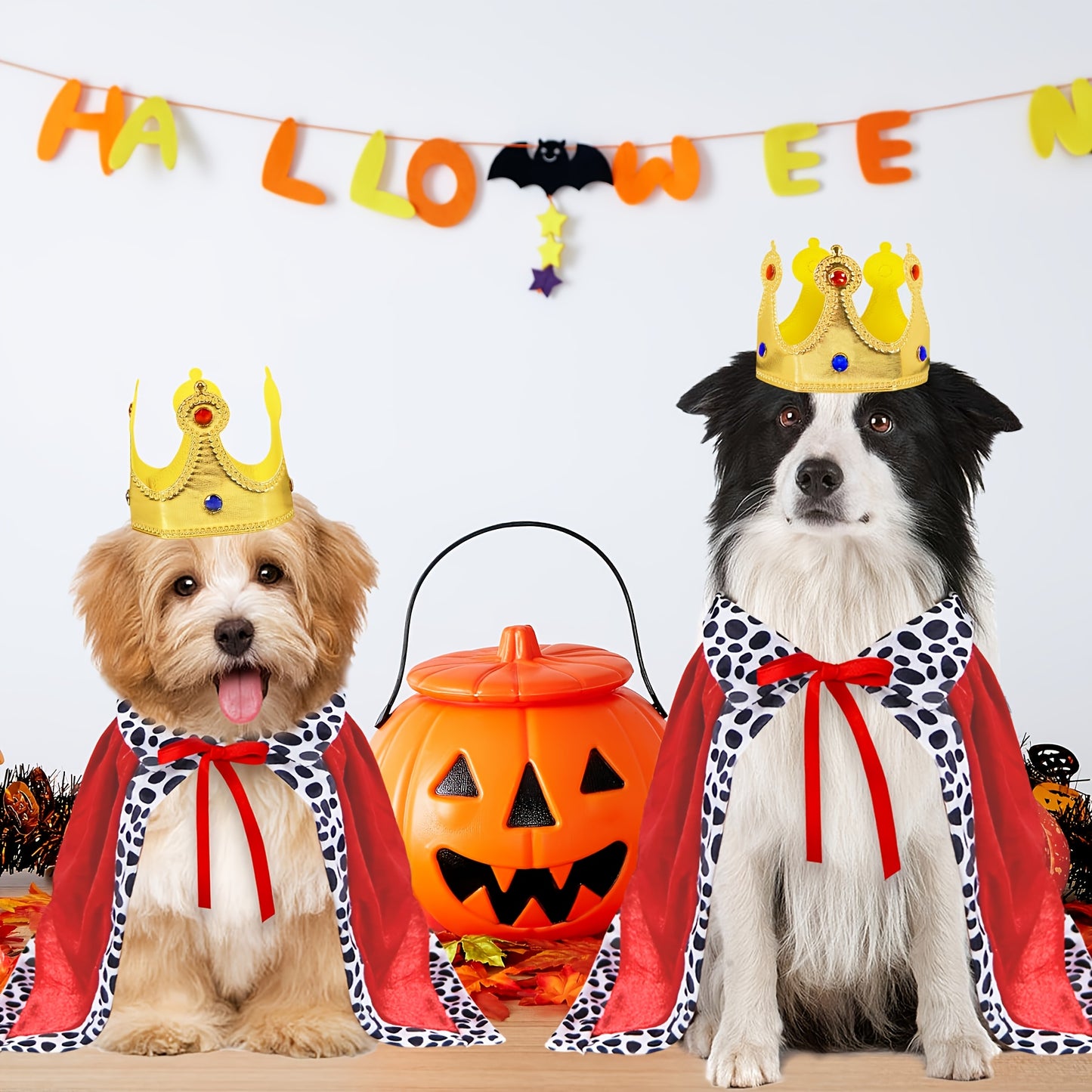 Costume Royal avec Cape et Couronne pour Chiens Moyens