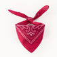 Bandana Classique Carré pour Chien – Motif Paisley