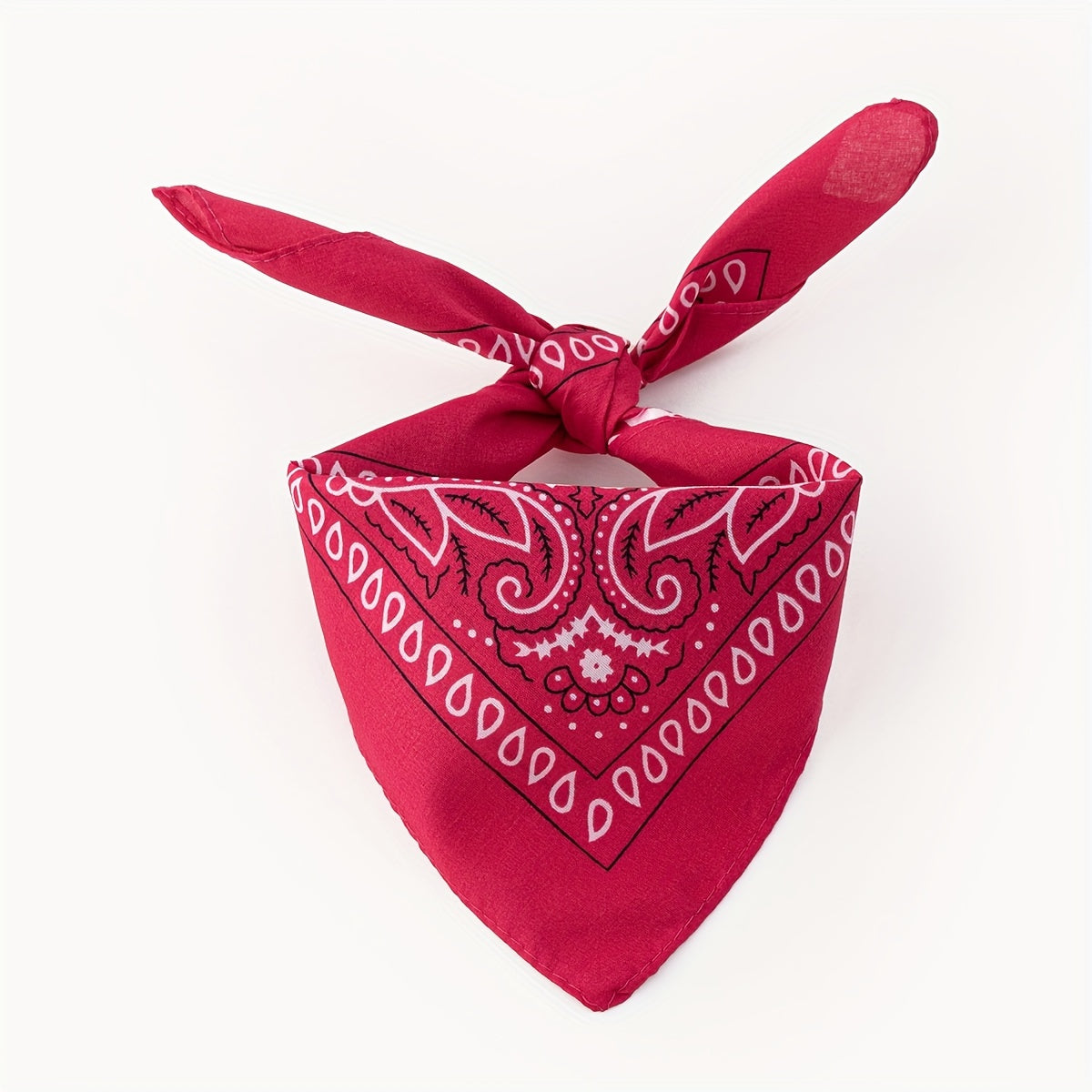 Bandana Classique Carré pour Chien – Motif Paisley