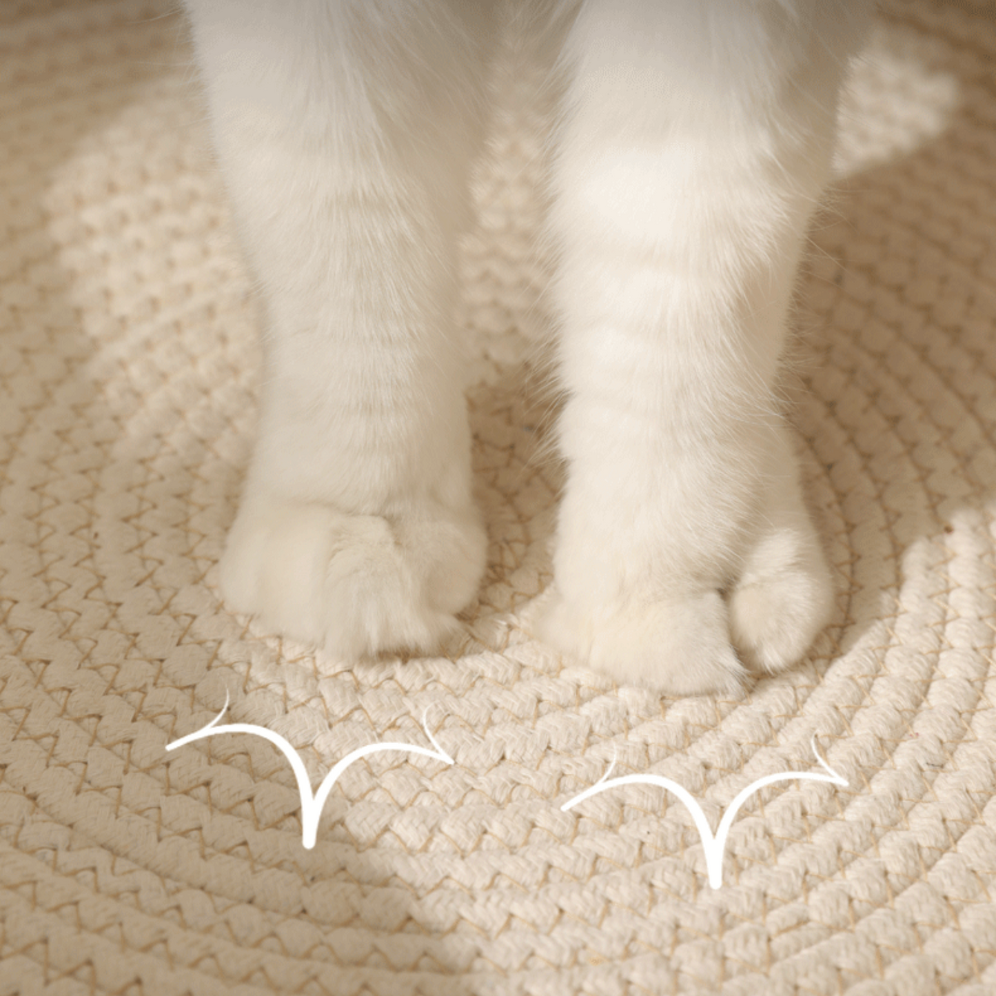 Panier Tressé Confort pour Chat – Design Oreilles & Queue