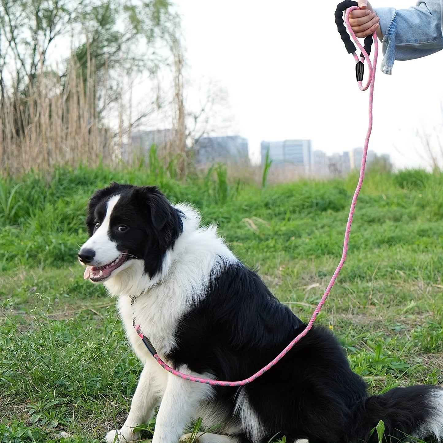 Laisse Corde avec Poignée Confort pour Chien