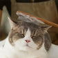 Peigne de Toilettage en Bois pour Chats et Chiens