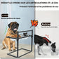 Support repas en métal ajustable avec gamelles inox pour Chien