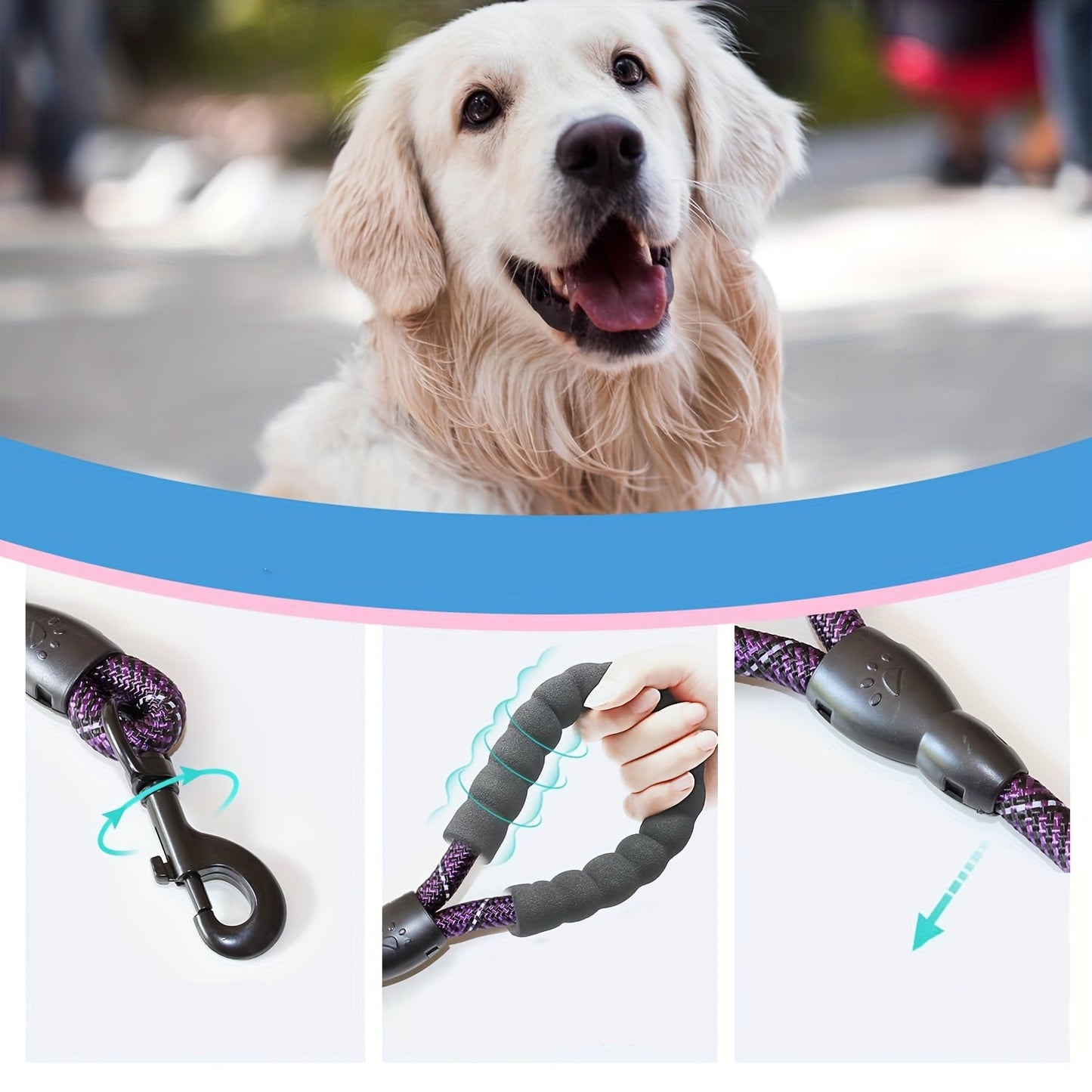 Laisse Corde pour petit, moyen et grand Chien