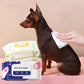 Lingettes Humides Multi-Soins pour Chiens