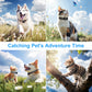 Collier Caméra 1080P pour Chats et Petits Chiens