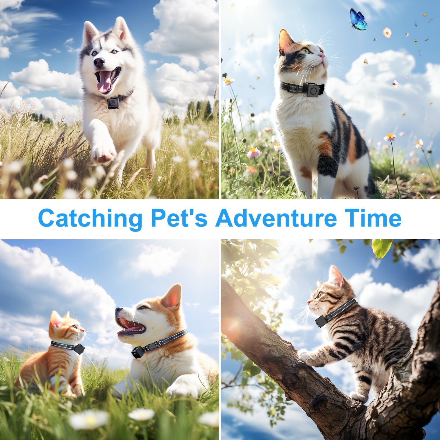 Collier Caméra 1080P pour Chats et Petits Chiens