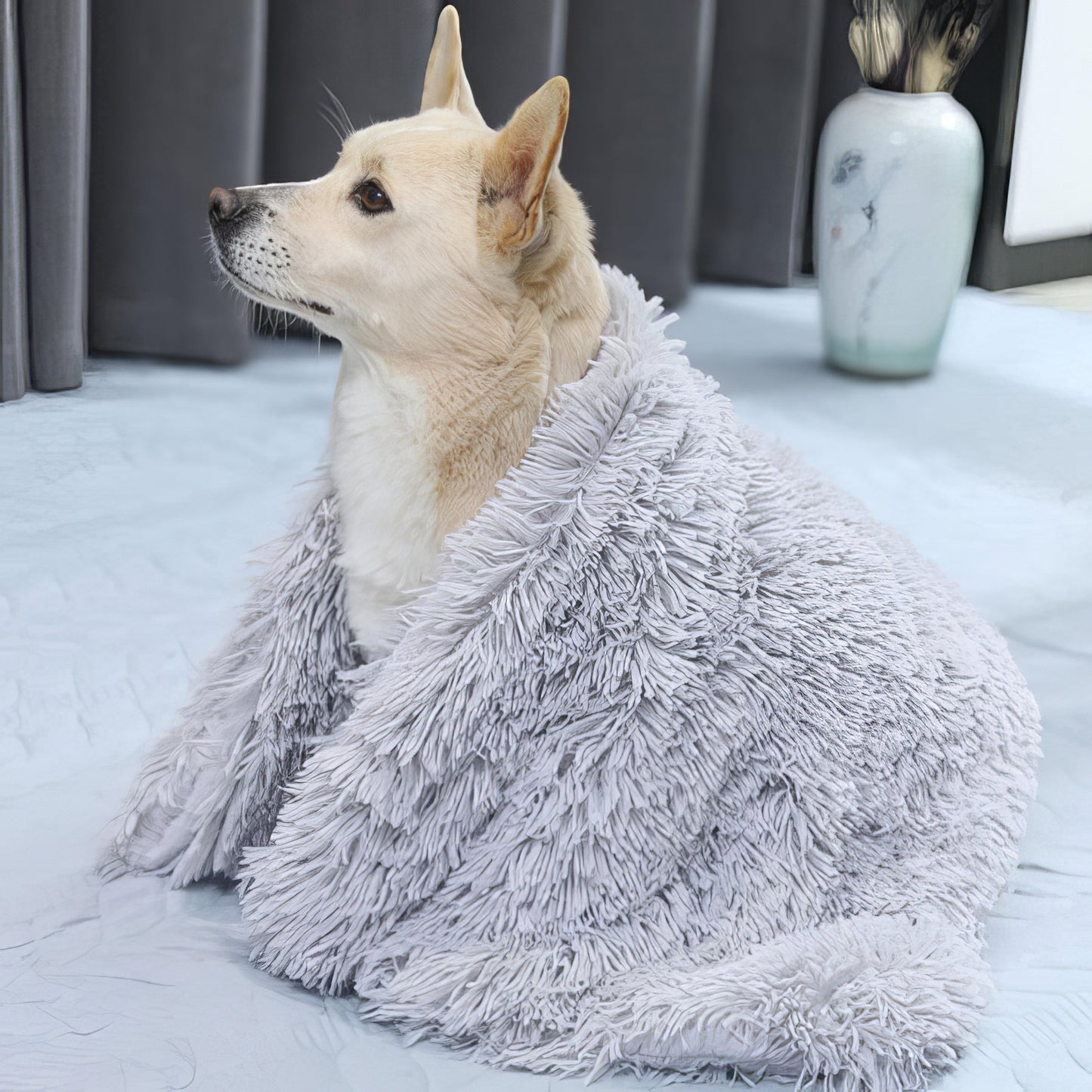 Couverture Polaire Ultra-Douce pour Chien – Confort & Chaleur