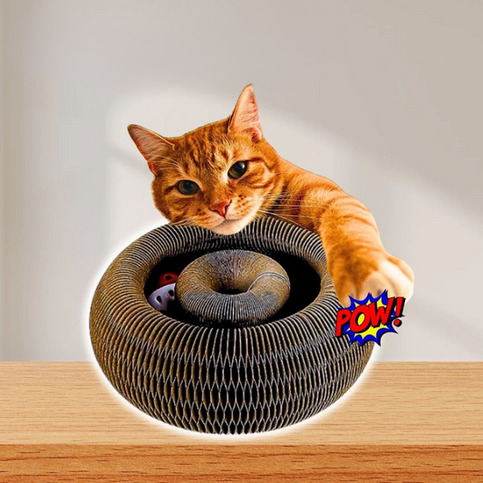 Jouet pliable piste-balle pour chat – Griffoir & divertissement