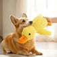Jouet en peluche canard pour chien – Doux & ludique