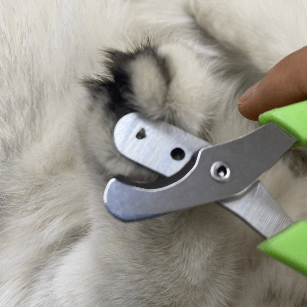 Coupe-griffes ergonomique pour animaux – Précision & sécurité