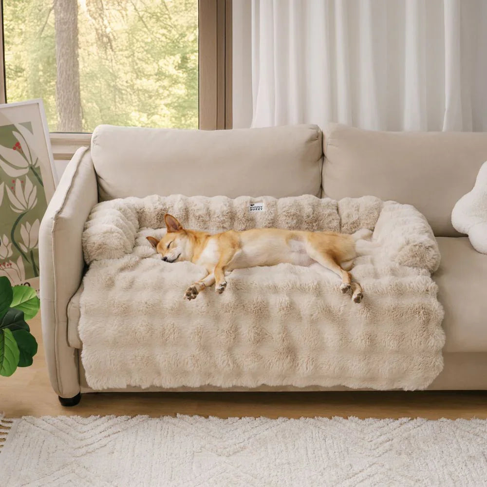 Lit Canapé Douillet pour Chien – Protection & Confort Luxueux
