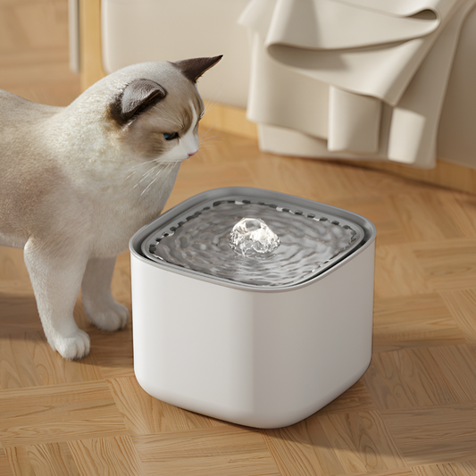 Fontaine à eau pour chat – Smart Cube 3L