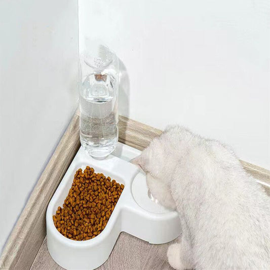 Distributeur d’eau et gamelle 2-en-1 pour chat – Hydratation facile
