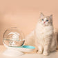 Fontaine à eau pour chat design escargot – Hydratation silencieuse