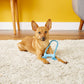 Os KONG Puppy Goodie Bone avec Corde