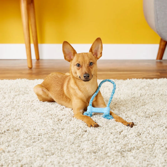 Os KONG Puppy Goodie Bone avec Corde