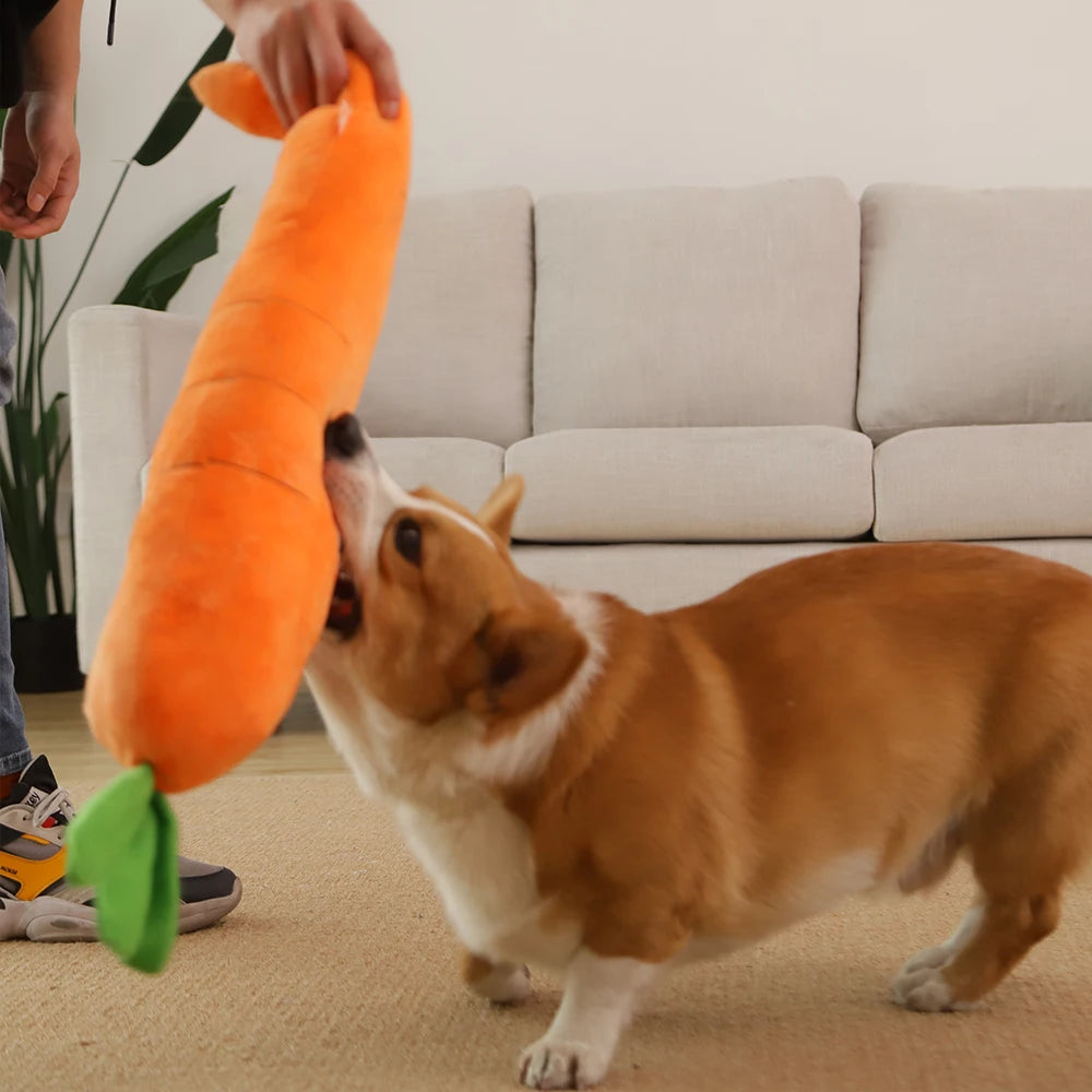 Jouet Carotte en Peluche avec Son pour Chiens