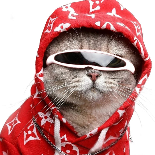 Lunettes Futuristes Réfléchissantes pour Chats et Petits Chiens
