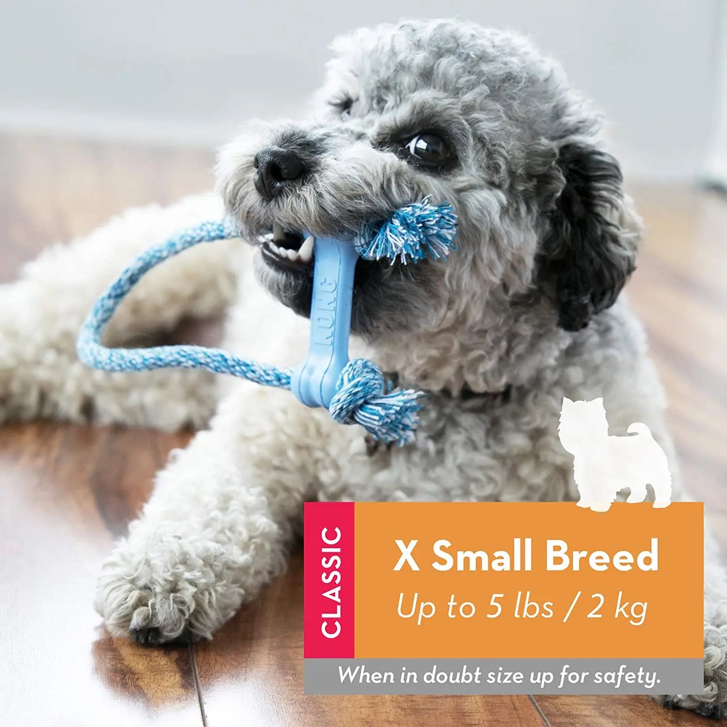 Os KONG Puppy Goodie Bone avec Corde