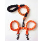 Laisse Double Corde Élastique pour Chien