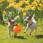 Balle Interactive KONG