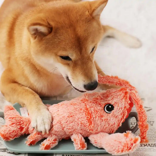 Jouet homard interactif pour chiens – Wiggly Lobster