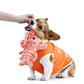 Jouet homard interactif pour chiens – Wiggly Lobster