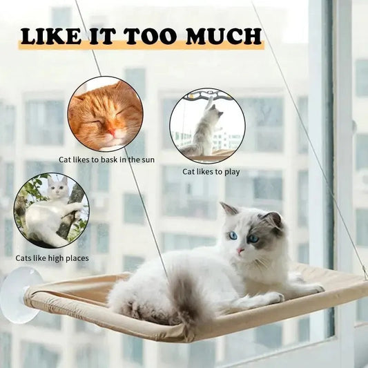 Hamac de fenêtre pour chat – Confort & bain de soleil