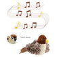 Jouet interactif Flappy Bird 2.0 pour chat – Ailes battantes & sons réalistes